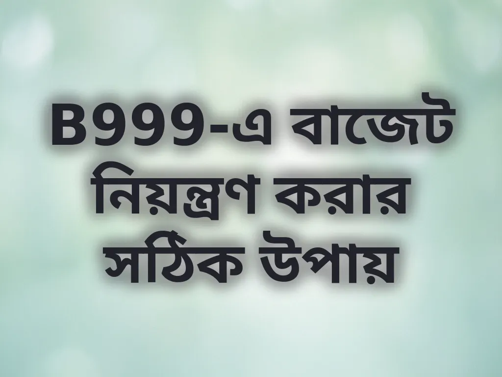 B999-এ বাজেট নিয়ন্ত্রণ করার সঠিক উপায়